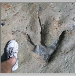 100_1000 (2009-28-07)m.jpg